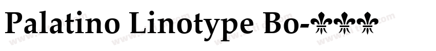 Palatino Linotype Bo字体转换